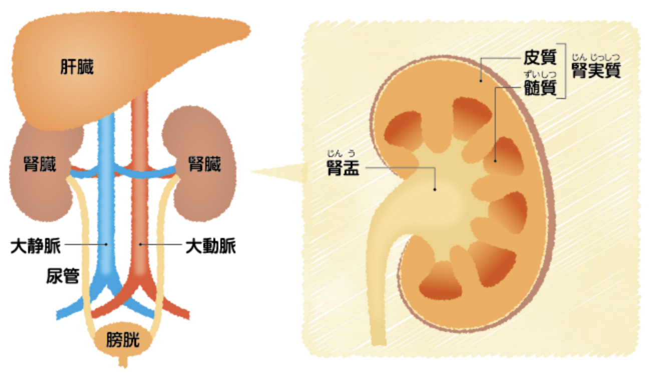 京都三井豪华精选酒店