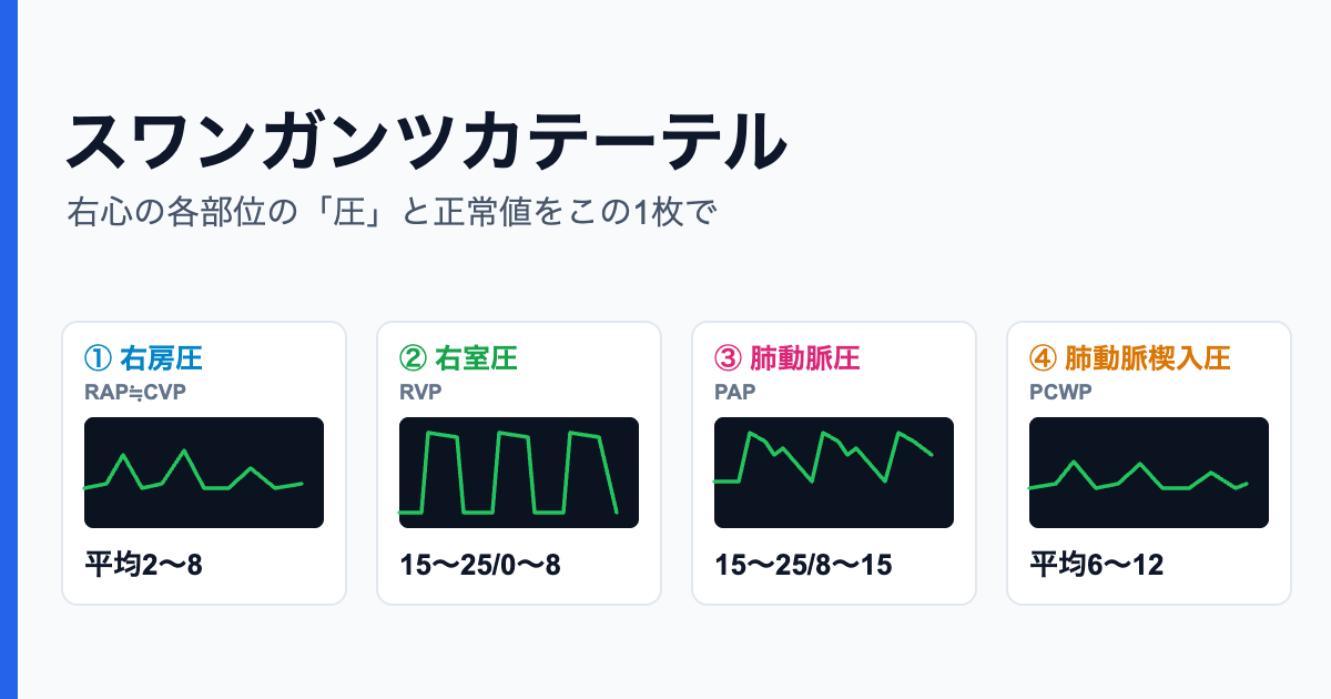 スワンガンツカテーテル 各部位の圧と正常値
