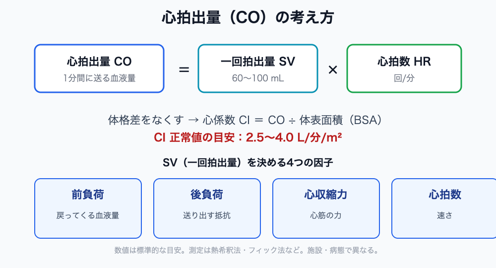 心拍出量（CO）＝一回拍出量SV×心拍数HR、心係数CIと4因子