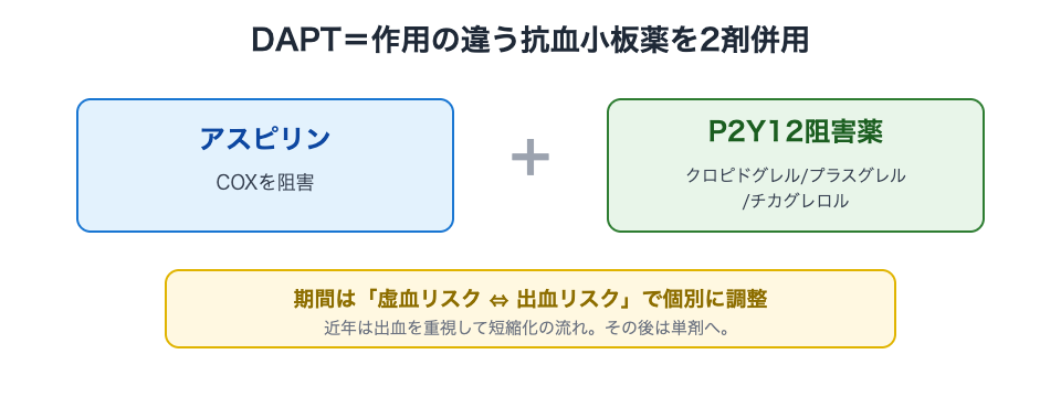 DAPT=アスピリン+P2Y12阻害薬、期間は虚血と出血のバランスで個別調整