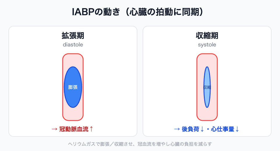 IABPの動き（拡張期に膨張して冠血流を増やし、収縮期に収縮して後負荷を減らす）