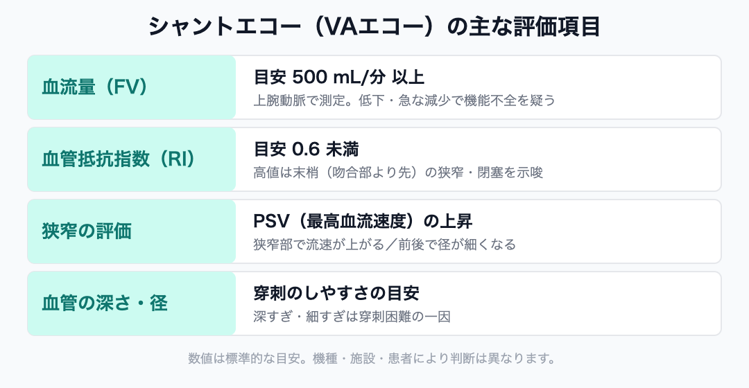 シャントエコー（VAエコー）の主な評価項目